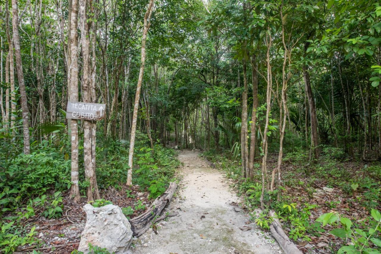 Hotel Casa Costal - Glamping Experience Puerto Morelos Exteriér fotografie