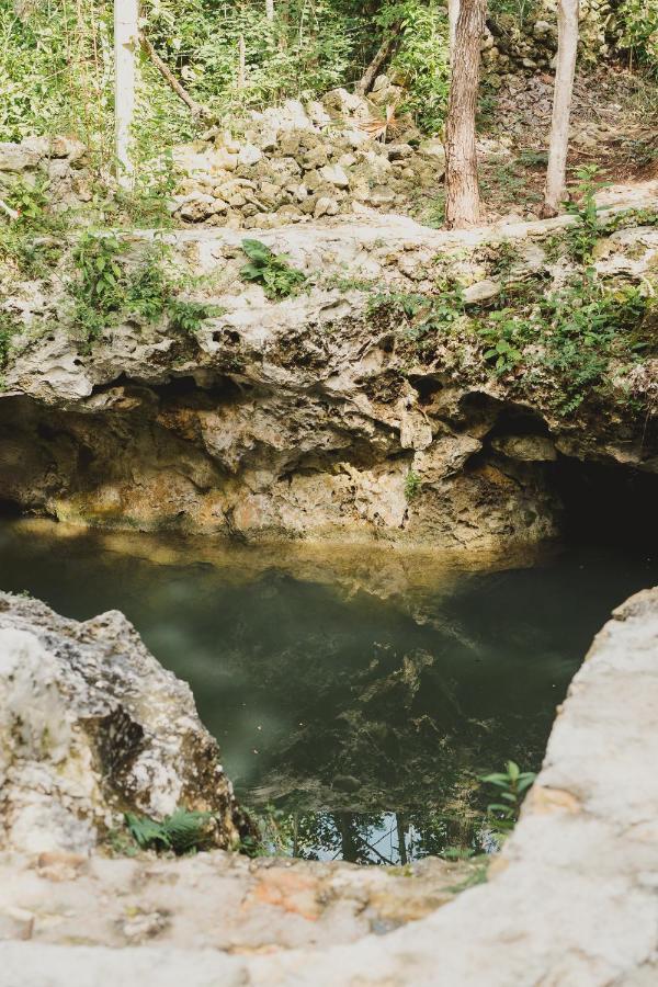 Hotel Casa Costal - Glamping Experience Puerto Morelos Pokoj fotografie