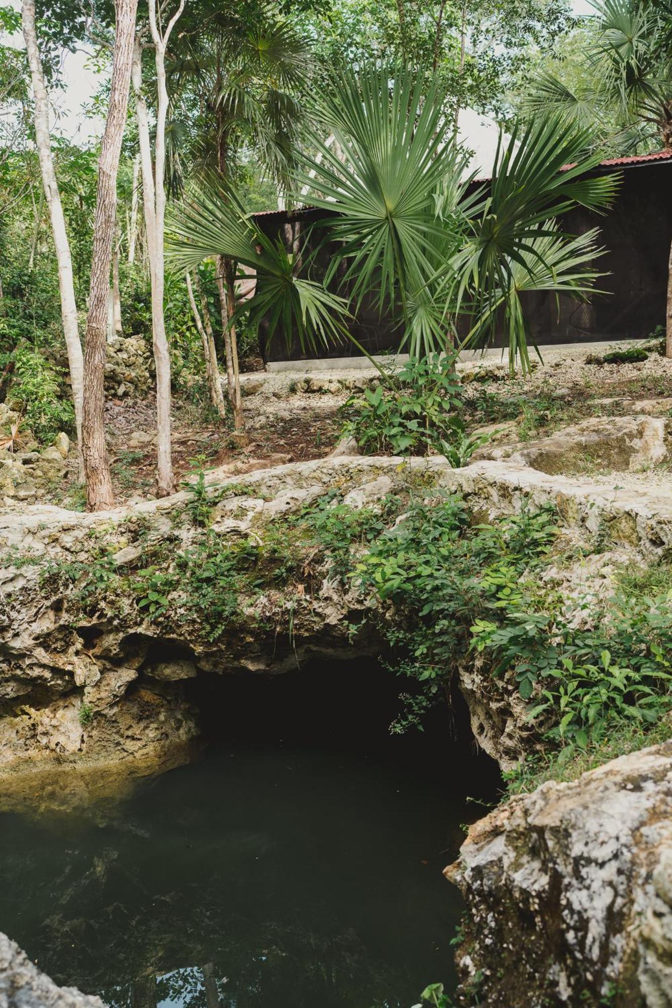 Hotel Casa Costal - Glamping Experience Puerto Morelos Pokoj fotografie